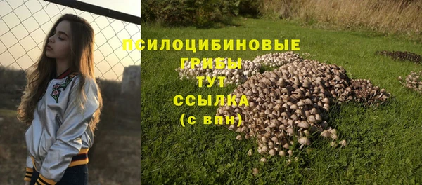 не бодяженный Магадан