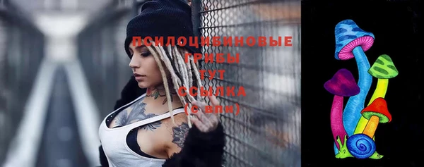 стафф Майский