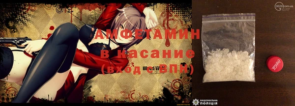 стафф Майский