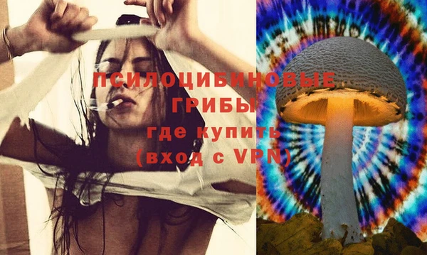 стафф Майский